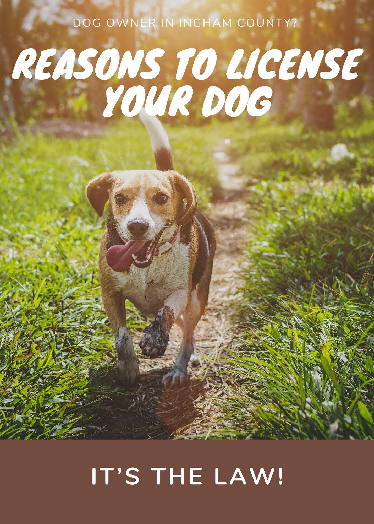 Ingham County Dog License Poster